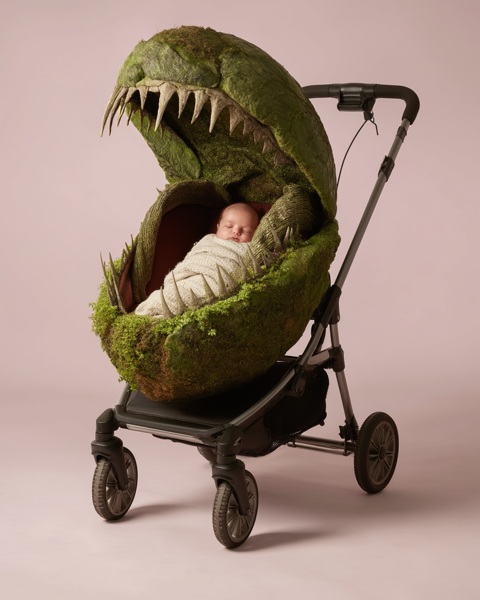 Stroller as a Venus flytrap